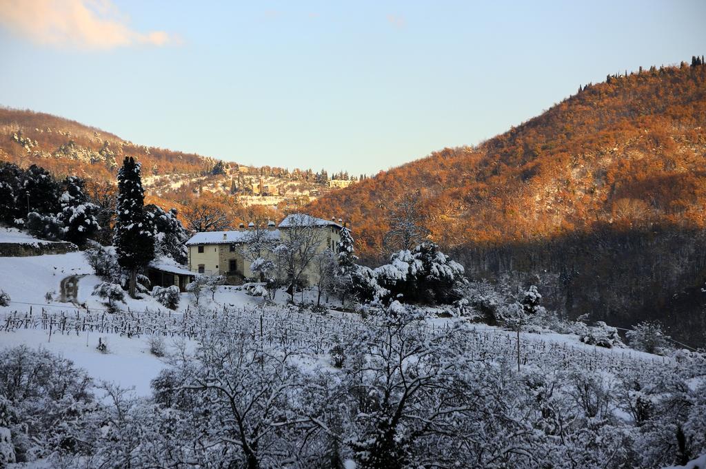 Tenuta Dei Cavalieri Molino del Piano Екстериор снимка
