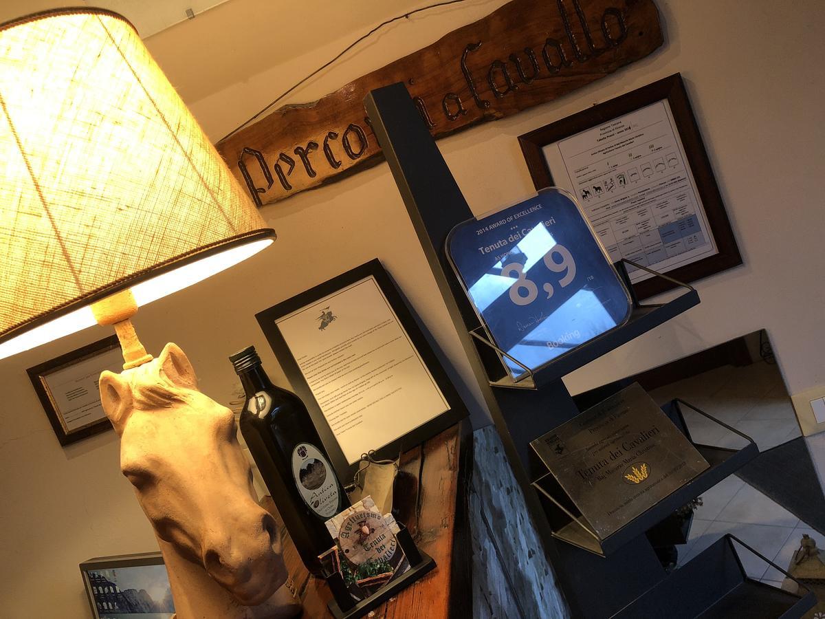 Tenuta Dei Cavalieri Molino del Piano Екстериор снимка